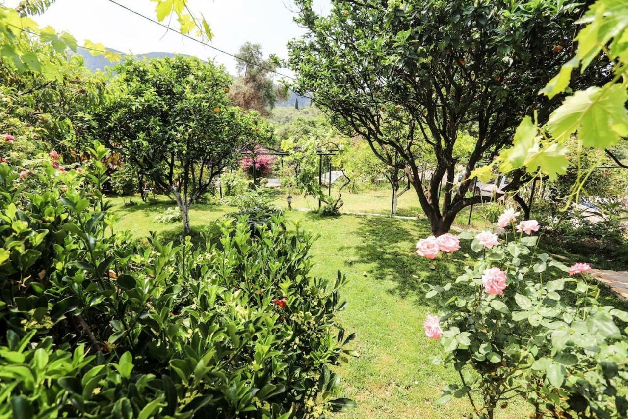 Garden House Kastellani Vendégház Kastellanoi  Kültér fotó