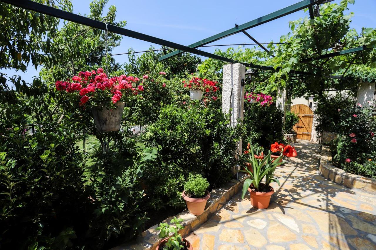Garden House Kastellani Vendégház Kastellanoi  Kültér fotó